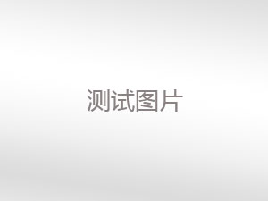 demo pro1