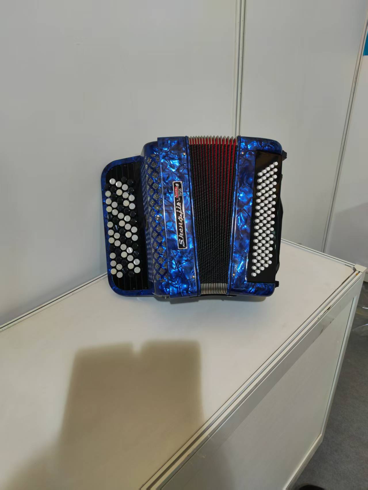 SJnk37-60.jpg
